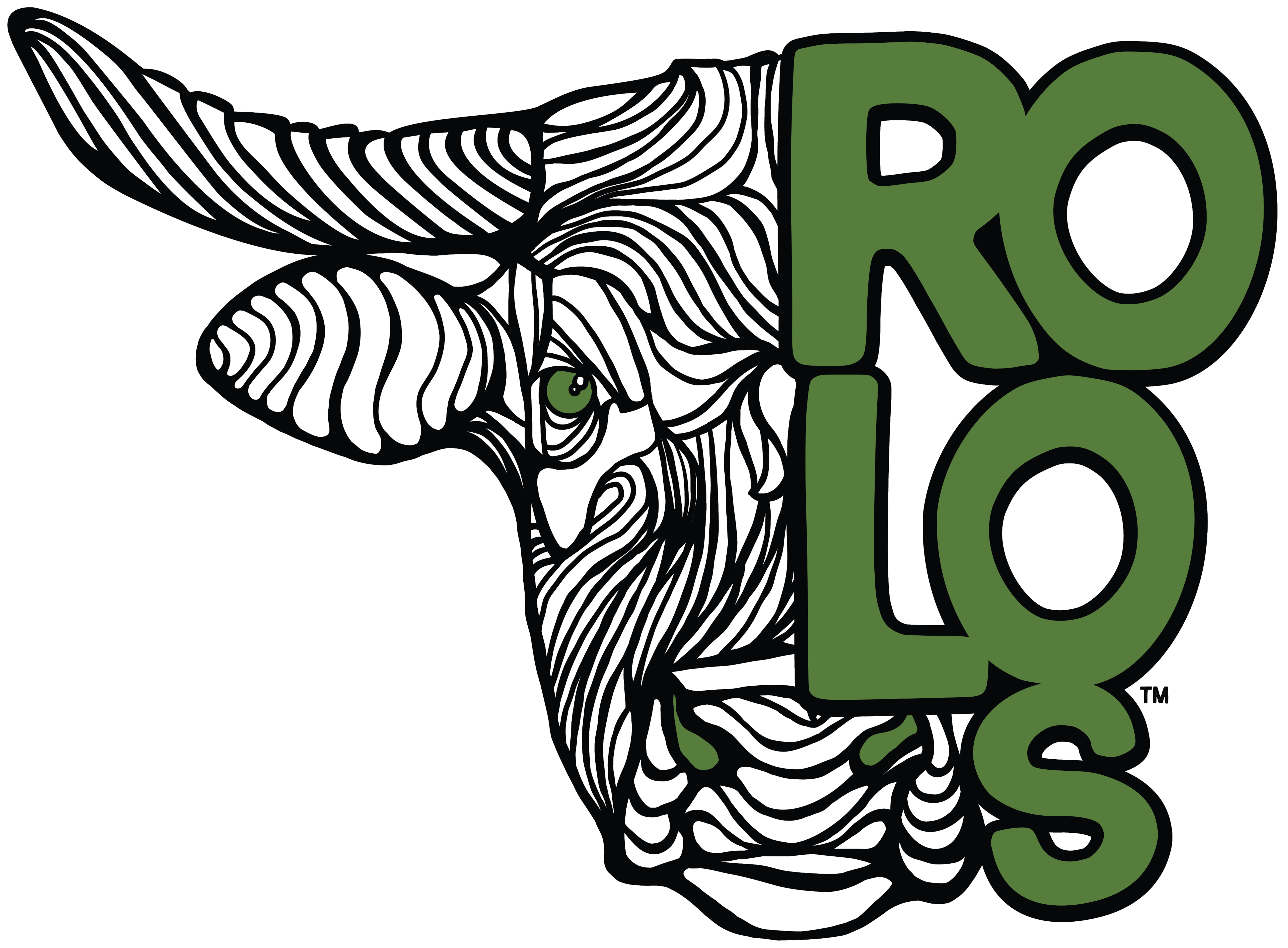 Rolo's Salsa Verde