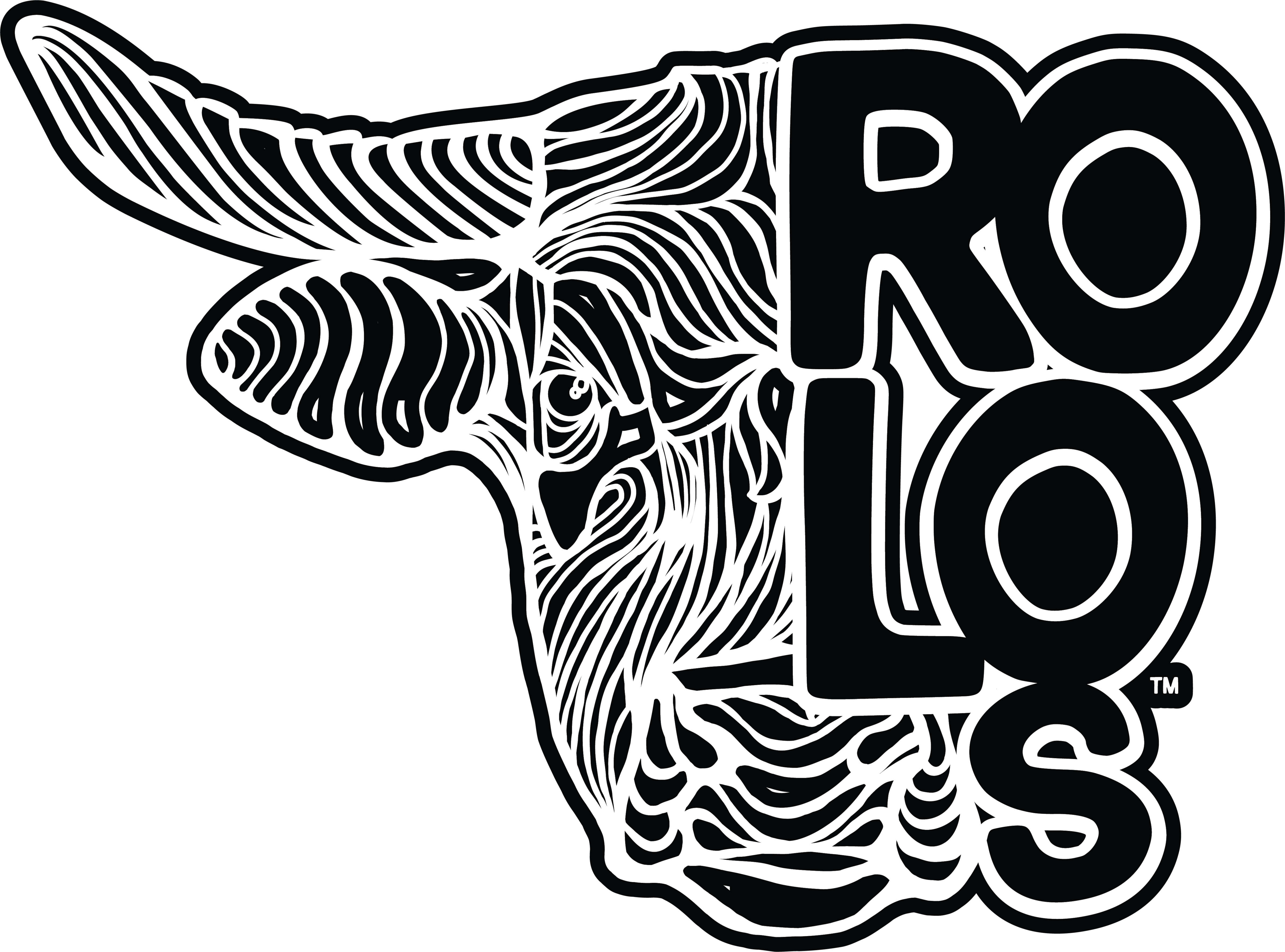 Rolo's Salsa